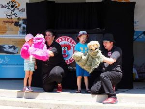 Brisbane Entertainment, Childrens Entertainer, Primary School | Puppet Show, Puppetry Workshops - Book Week