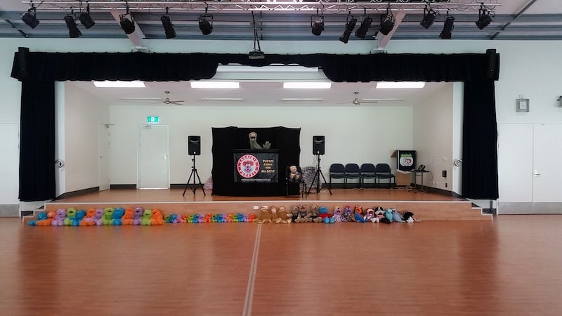 Puppet Show - Kids Entertainment - Larrikin Puppets - Vacation Care -OSHC - Workshop - Moss