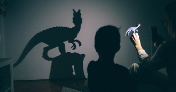 Shadow Puppet Play Childcare Incurion