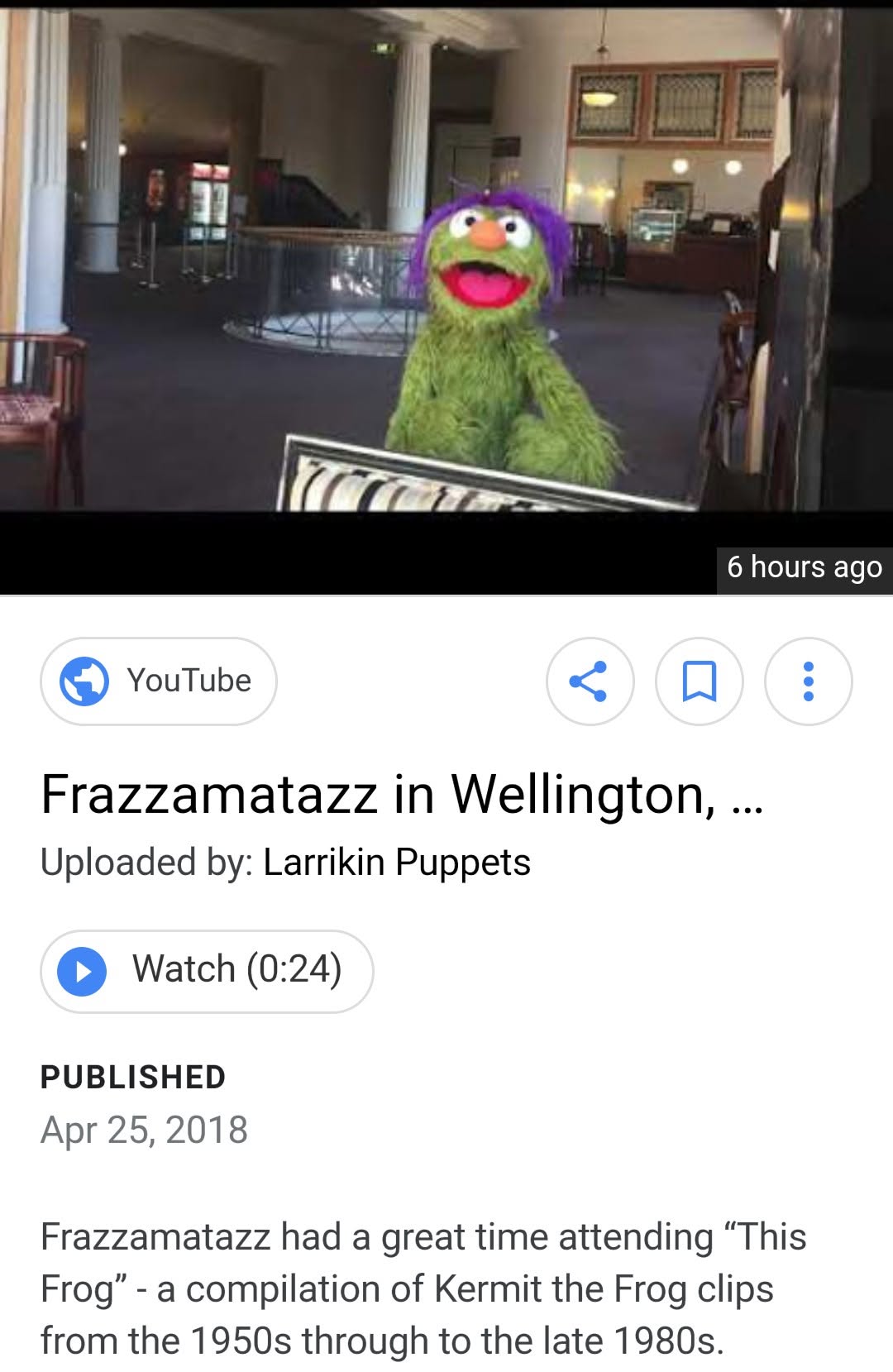 Embassy Theatre in Wellington during This Frog: A Kermit Kompilation